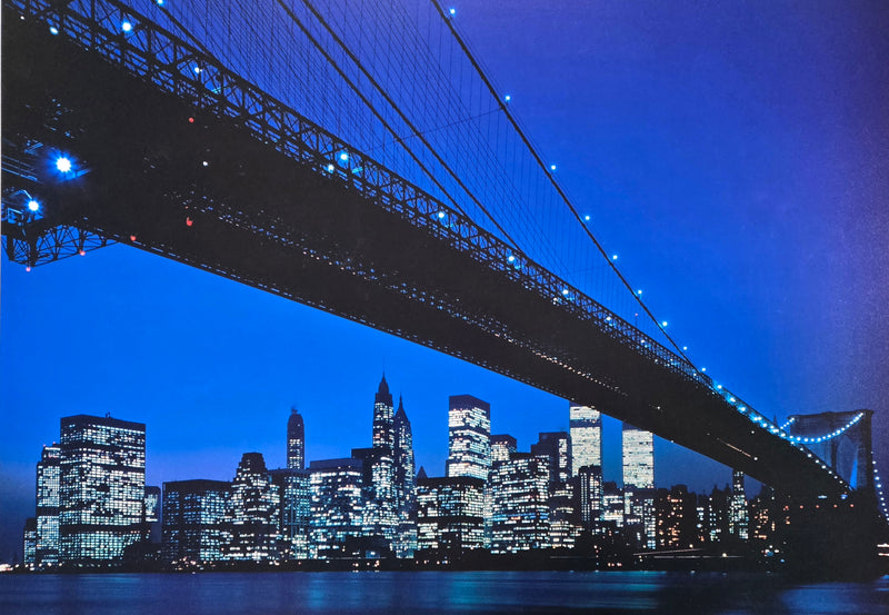 Manhattan Skyline & Brooklyn Bridge