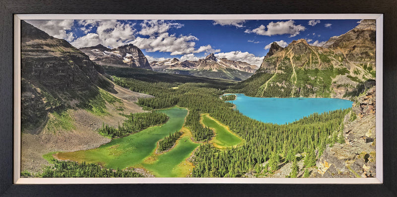 Lake O'Hara - Collacott