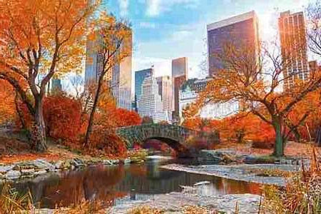 Central Park New York