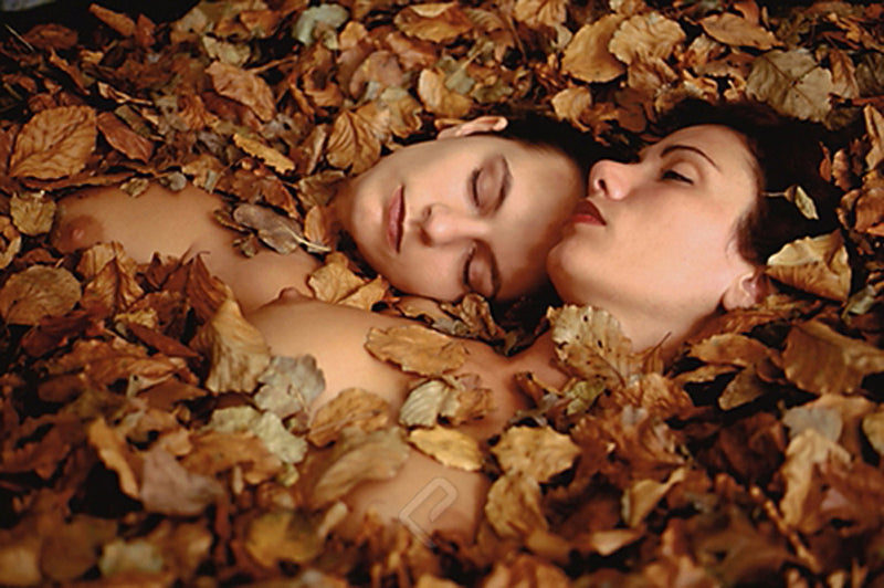 Lovers IV