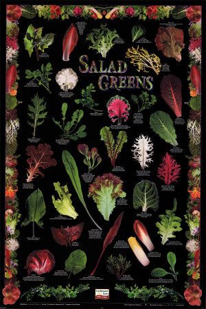 Seasonal Mixed Greens