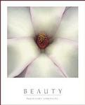 Beauty - White Magnolia