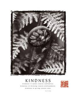 Kindness Fiddlehead