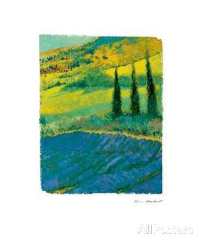 Lavendel Bei Manosque