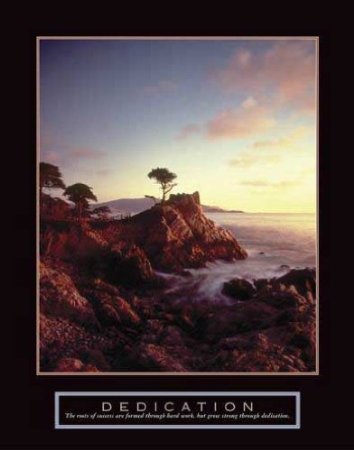 Dedication - Lone Cypress