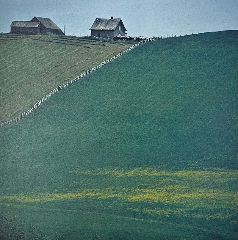 Yee Old Homestead
