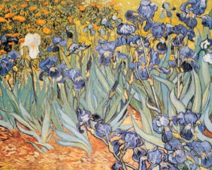 Irises