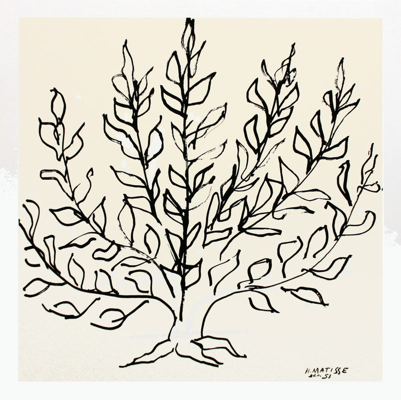 Le buisson, 1951