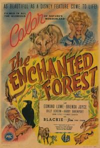 The Enchanted Forest