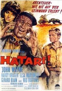 Hatari!