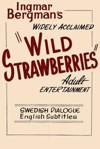 Wild Strawberries