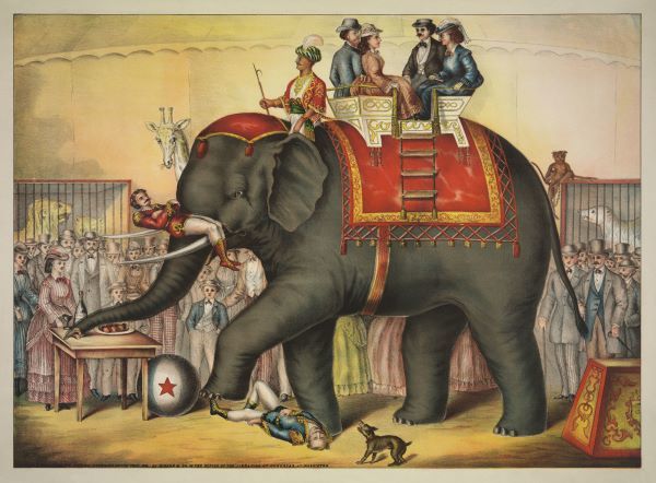 Performing Elephant