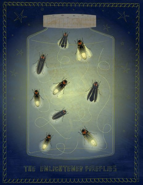 The Enlightened Fireflies