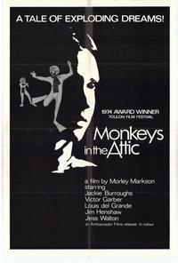 Monkeys in Attic