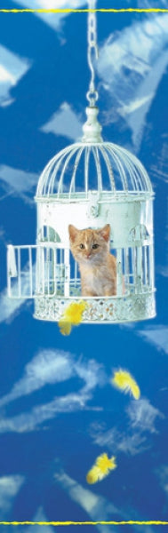 Kitten In Birdcage