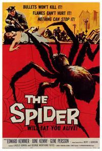 The Spider