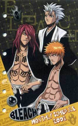 Bleach (TV)