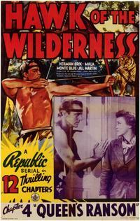 Hawk of the Wilderness