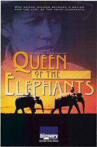 Discovery Channel:  Queen of the Elephants