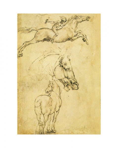 Sketch Of A Horse