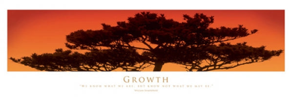 Inspirational - Growth