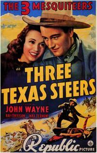 Three Texas Steers