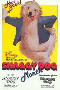 The Shaggy Dog