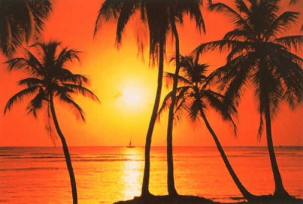 Tropical Caribbean Sunset
