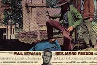 Cool Hand Luke