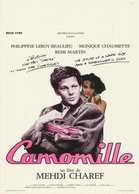 Camomille