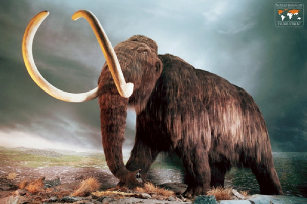 Woolly Mammoth