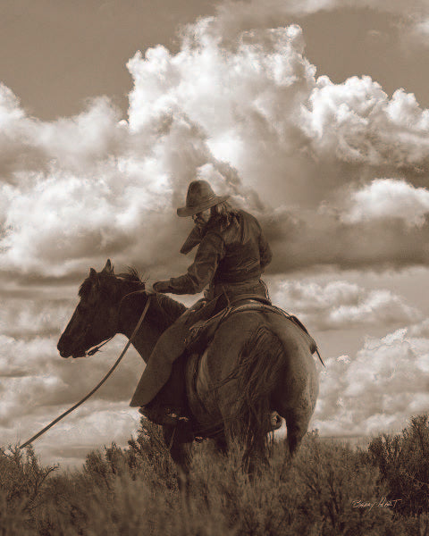 Colorado Cowboy