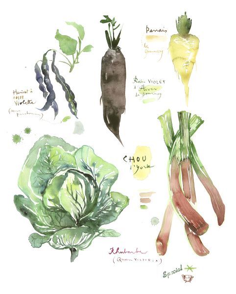 Green Winter Vegetables