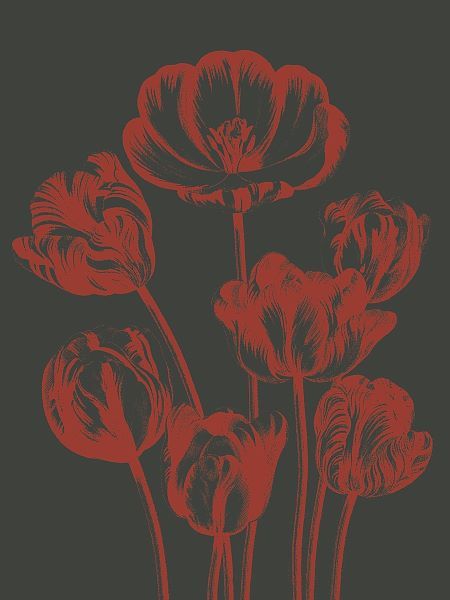 Tulip 10