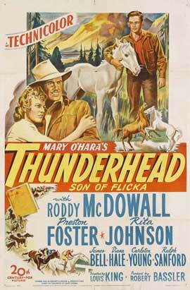 Thunderhead - Son of Flicka