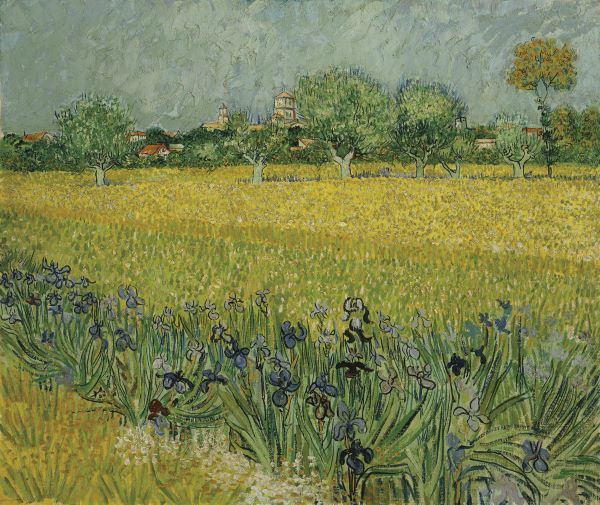Field with Flowers Near Arles, 1888