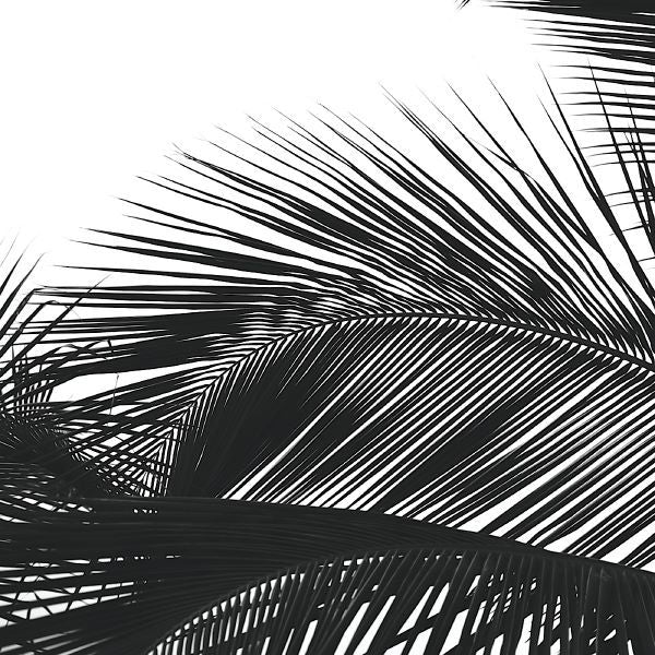 Palms 13 (detail)