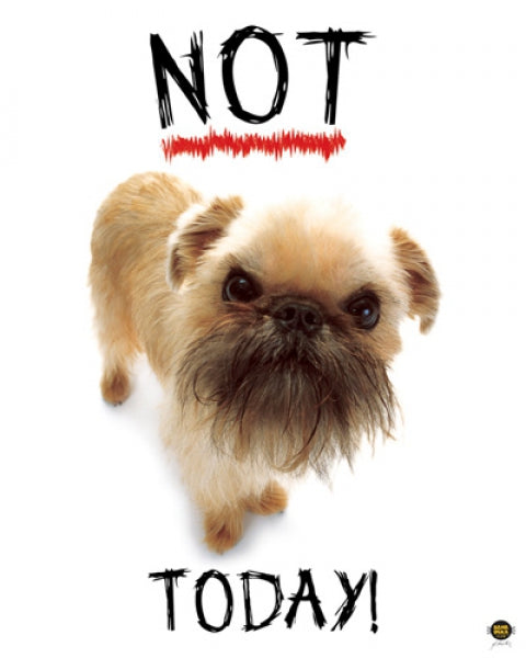 Not Today!