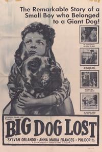 Big Dog Lost
