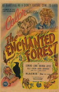 The Enchanted Forest