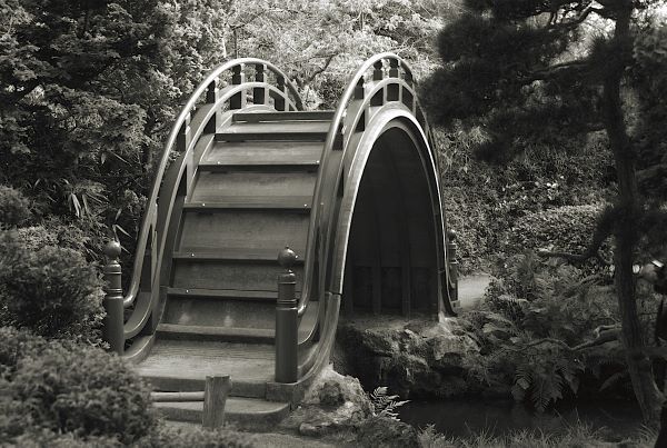 Moon Bridge in Tea Garden