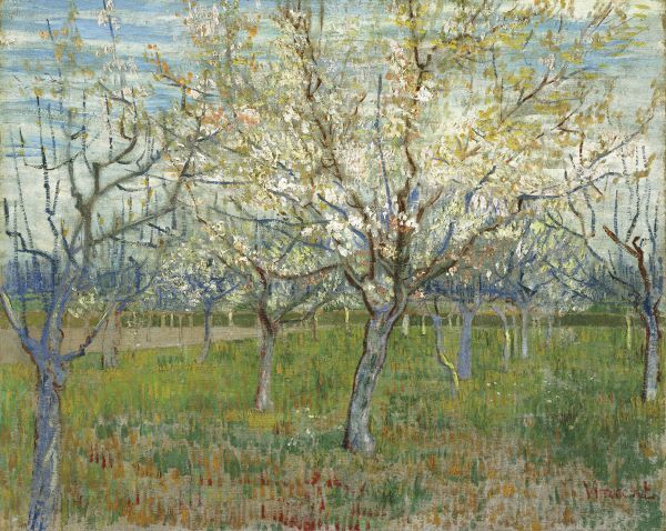 The Pink Orchard, 1888