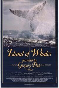 The Island of Whales