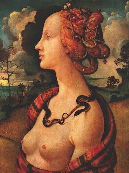 Portrait of Simonetta Vespucci,  c. 1480