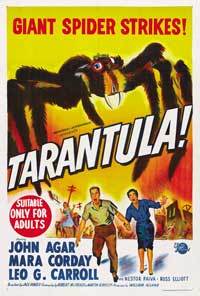 Tarantula