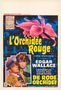 The Puzzle of the Red Orchid