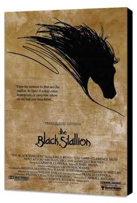 The Black Stallion