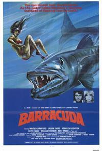 Barracuda