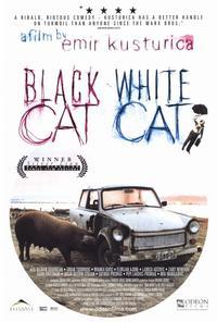 Black Cat, White Cat