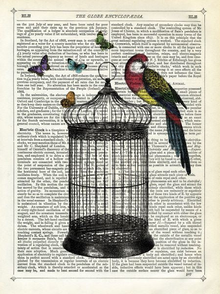 Bird Cage and Parrot